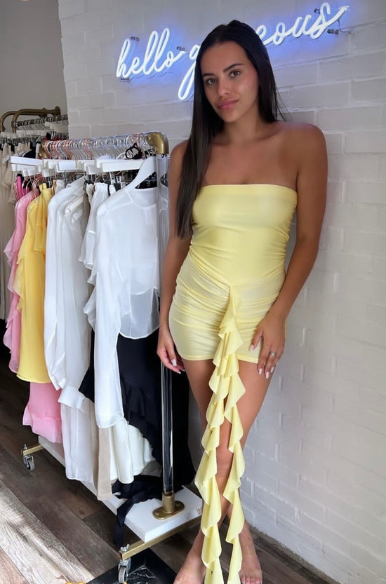 Serena Mini Dress