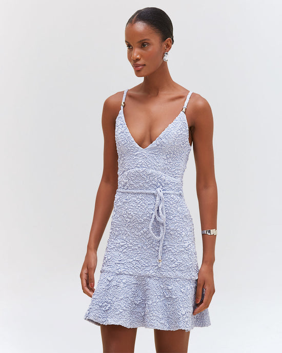 Papillon Jacquard Mini Dress - Blue