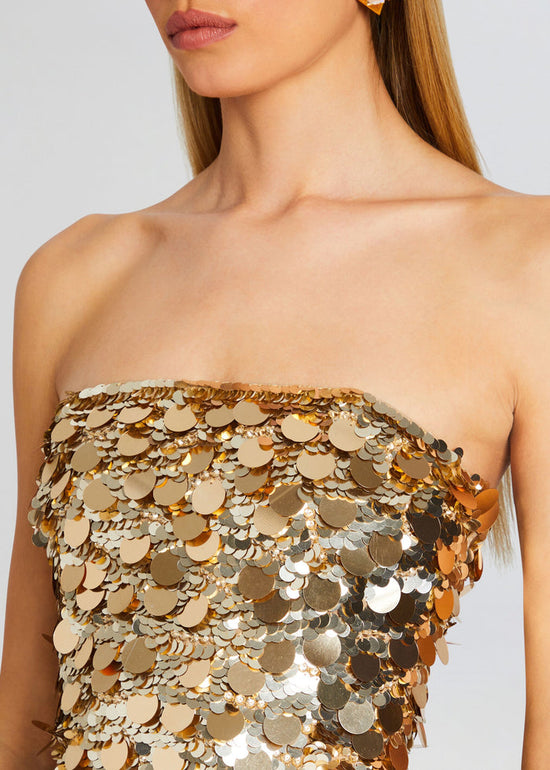 Nolia Sequin Embellished Dress - Champagne Dust