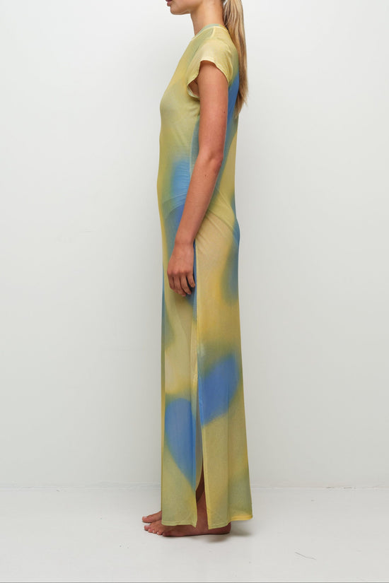 Fia Mesh Midi Dress