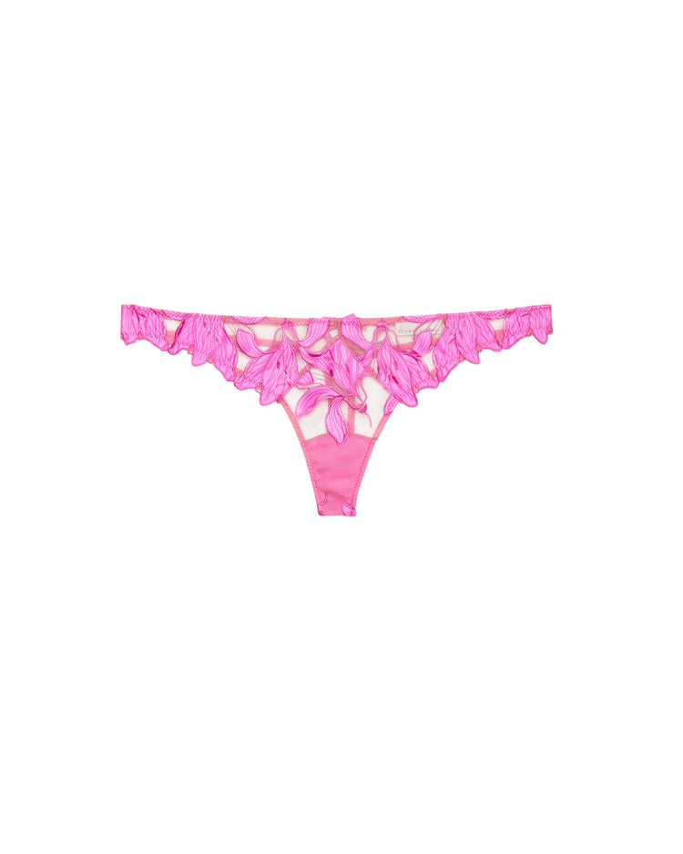 Wild Pink