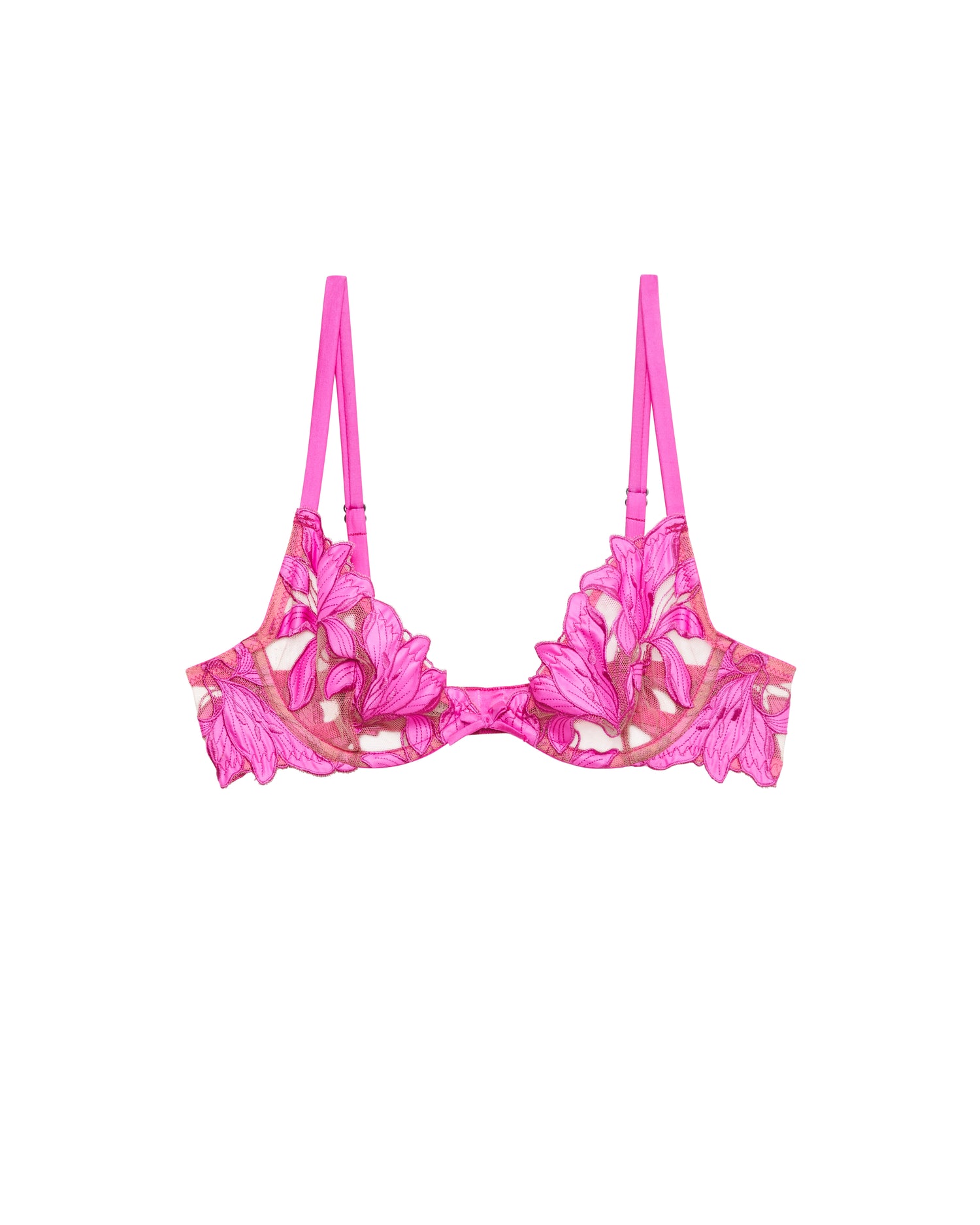 Wild Pink