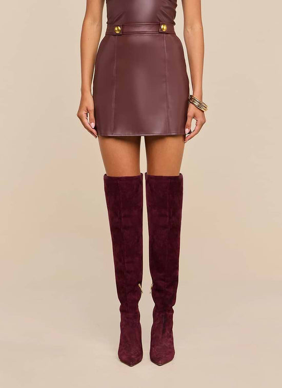 Nolina Mini Skirt