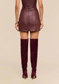 Nolina Mini Skirt