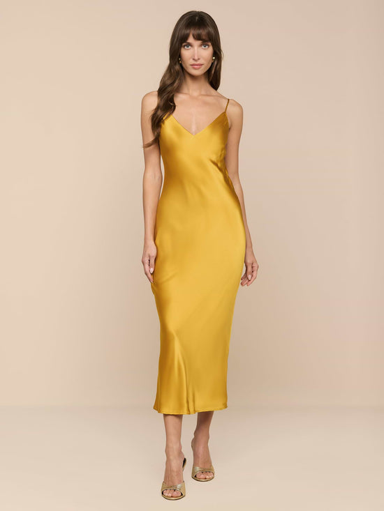 Seridie Silk Slip Dress