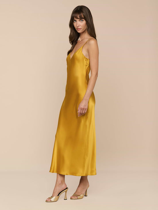 Seridie Silk Slip Dress