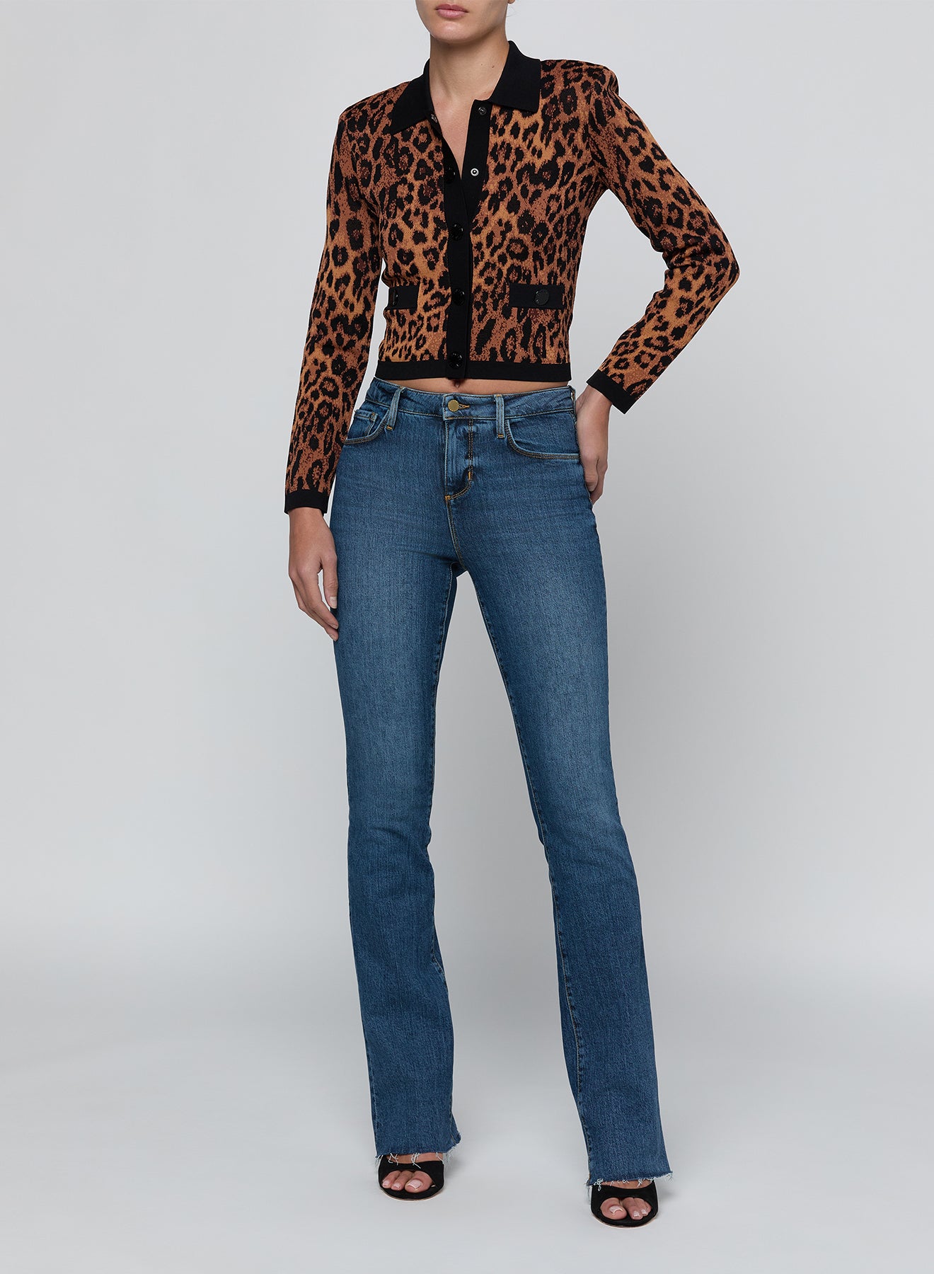 OSIRIS JCQRD CLLRD CARDI