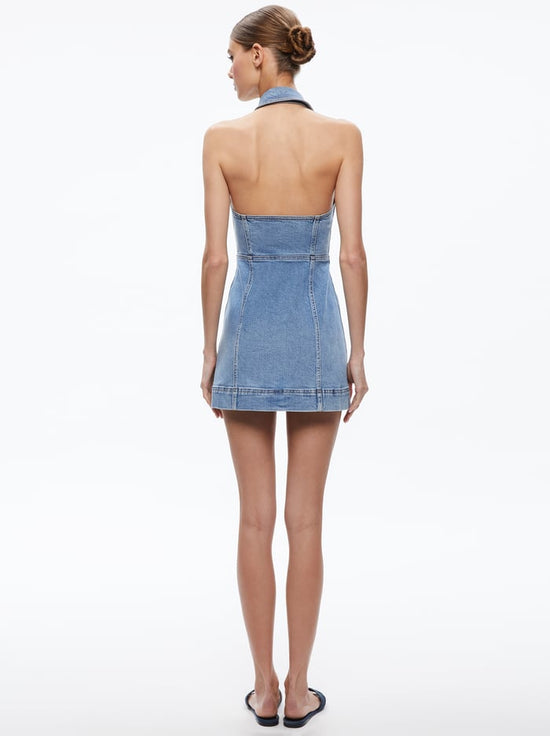 Kendall Denim Mini Dress