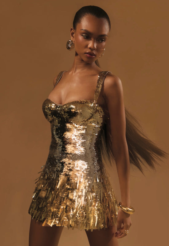 Brianka Sequin Dress (PRE-SALE)