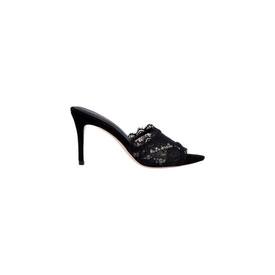 Penn Mule (PRE-SALE)