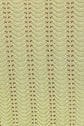 Gavi Pant - Matcha