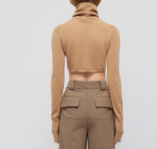 Brie Cashmere Cropped Turtleneck Sweater