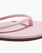 Tubular Lily - Powder Pink