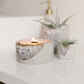 Lavender Violet Amber | Wild Fleurette Candle (PRE-SALE)