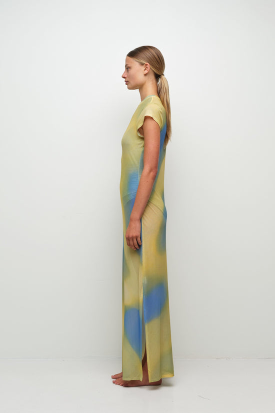 Fia Mesh Midi Dress (PRE-SALE)