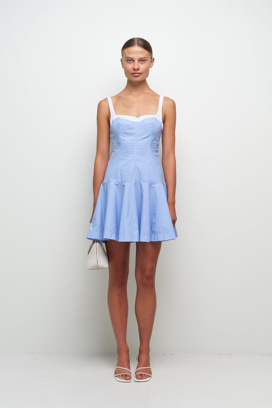 Tyler Bustier Mini Dress (PRE-SALE)